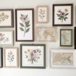 DIY gallery wall with mix-and-match frames featuring botanical prints and maps