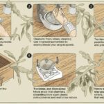 How to Deep Clean Kitchen Cabinets (2)