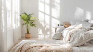 Living Spaces and Bedrooms: Dust and Allergen Removal