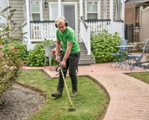 Why Regular Garden Maintenance Keeps Your Croydon Yard Beautiful