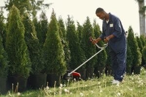 How Landscaping Businesses Can Lower Maintenance Costs