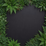 Greenery to Soften Black Surfaces